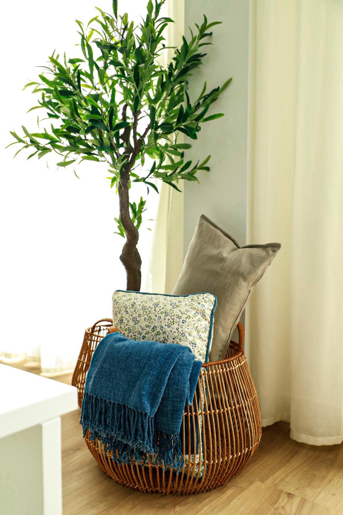 Renovated Apartment With Roof Garden Access, 15 M Walk To Acropolis Athens Exterior photo